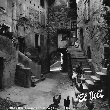 El Volt-3